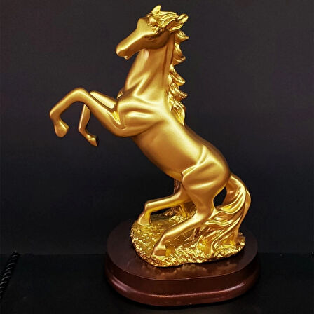 Şaha Kalkan Gold Renk At Biblosu ( Lisinya )