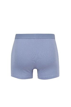 DeFacto Regular Fit 3'lü Boxer C9552AX24WNNV42