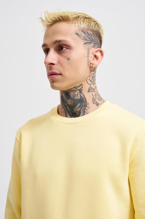 Erkek Regular Bisiklet Yaka Basic Sweatshirt Sarı