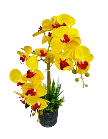 Yapay Çiçek 2li Sarı Kırmızı Islak Orkide Seramik Saksıda Orkide 60cm