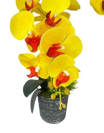 Yapay Çiçek 2li Sarı Kırmızı Islak Orkide Seramik Saksıda Orkide 60cm