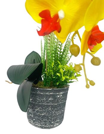 Yapay Çiçek 2li Sarı Kırmızı Islak Orkide Seramik Saksıda Orkide 60cm