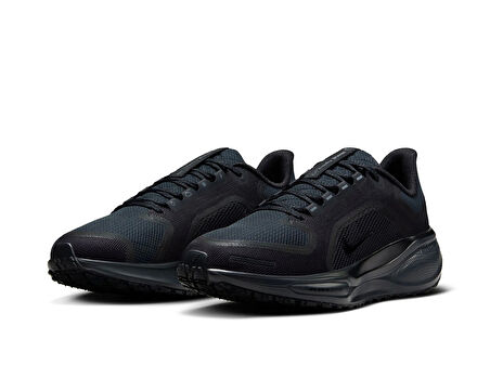 Nike Koşu Ayakkabısı Pegasus 41 Gore-Tex FQ1357-001