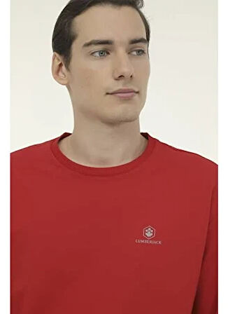 LUMBERJACK 102024367 MB-SN75 C NECK SW 5PR SWEATSHİRT