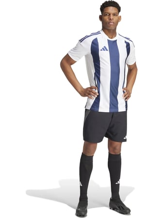 Adidas Striped 24 Jsy Erkek Futbol Forması Mavi Beyaz IW4554