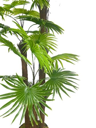 Yapay Ağaç Palmiye Fanpalm 3Katlı 24Yaprak 130*65cm