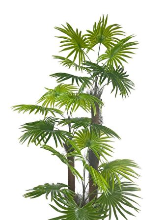 Yapay Ağaç Palmiye Fanpalm 3Katlı 24Yaprak 130*65cm