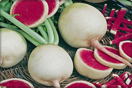 BT Burçin Çin Turp Tohumu 25 gr