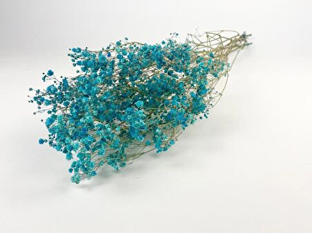 Kuru Çiçek Doğal Turkuaz Cipso 50gram 1. Kalite Şoklanmış Bozulmaz