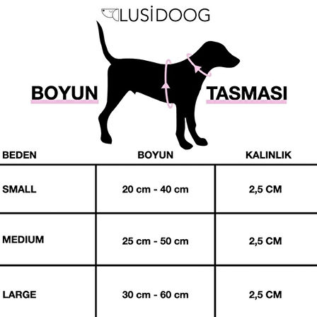 Erkek Papyonlu Köpek Boyun Tasması