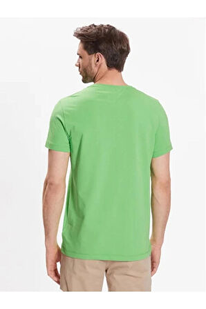 Basic Neck Tshirt