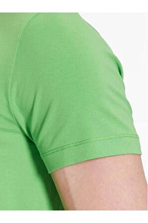 Basic Neck Tshirt