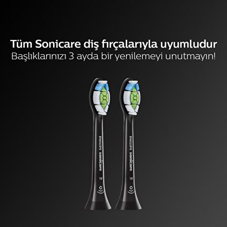 Philips Sonicare 2'li Şarjlı Diş Fırçası Yedeği