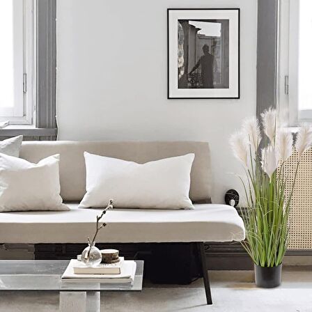 Yapay Çiçek Saksılı Salon Bitkisi Beyaz Püskül Grass Panpas