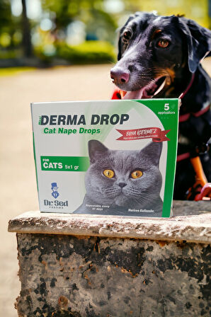 Girist Derma Drop Kedi ve Köpekler İçin Etkili Doğal Bit Pire ve Kene Damlası 5x1 Ml