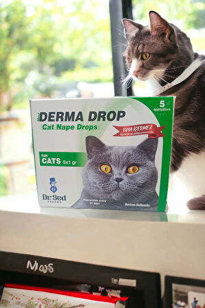 Girist Derma Drop Kedi ve Köpekler İçin Etkili Doğal Bit Pire ve Kene Damlası 5x1 Ml