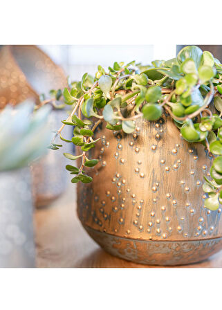 Lian Bakır Yeşil M Metal Saksı 