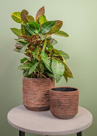 Jefta Siyah Seramik Saksı 19x17 cm 