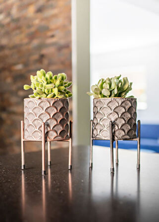 Lauri Lila Metal Saksı