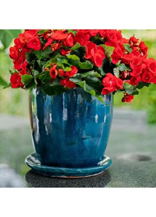 Rico Tabaklı Saksı Okyanus Mavi Çap 22cm Yükseklik 20cm