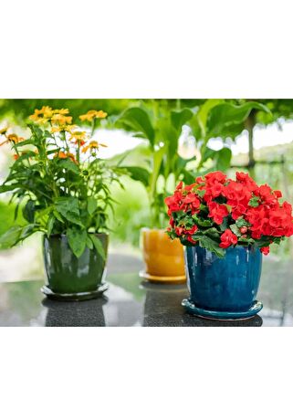 Rico Tabaklı Saksı Koyu Yeşil Çap 22cm Yükseklik 20cm