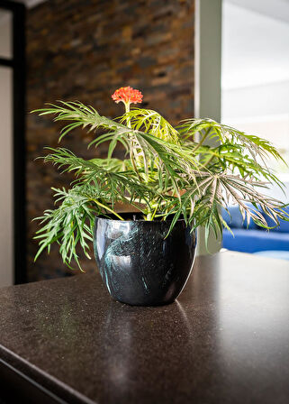 Vive Lacivert L Saksı 