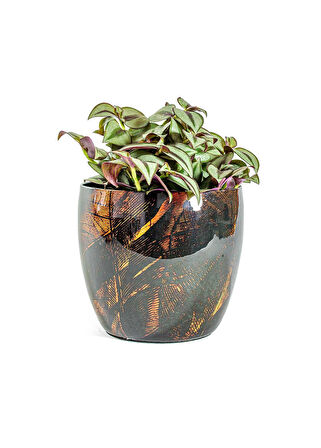 Vive Siyah Metal Saksı M 17x15 cm