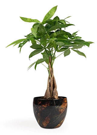 Vive El Yapımı Metal L Saksı 21x16 cm