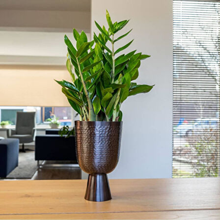 Lauren Antrasit Metal Saksı 15x29cm