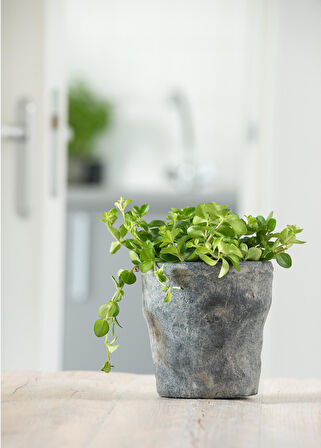 Nature S Gri Seramik Saksı 