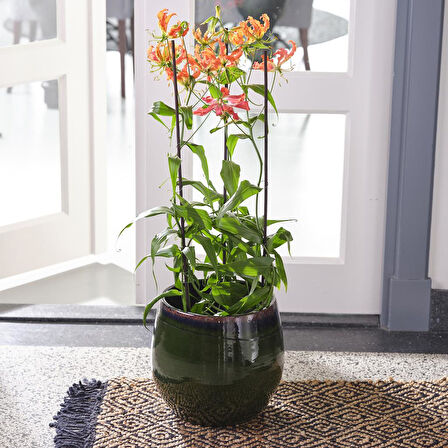 Charlotte Yeşil Seramik Saksı 30*26cm