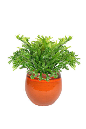 Charlotte Turuncu Seramik Saksı 19*16cm