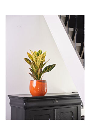 Charlotte Turuncu Seramik Saksı 23*20cm