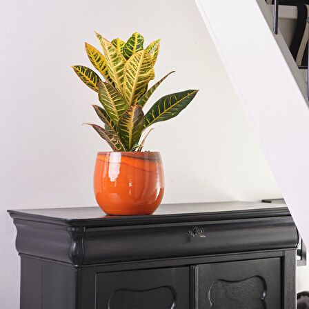 Charlotte Turuncu Seramik Saksı 30*26cm