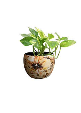 Lammie Çiçek Desenli Metal Saksı 9*7cm