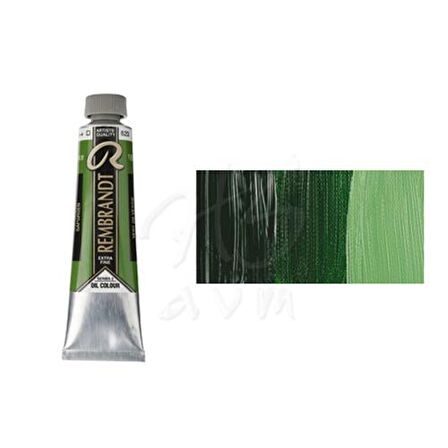 Rembrandt Yağlı Boya 40 ml Seri:2 No:623 Sap Green