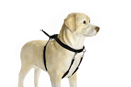 Beeztees Köpek Yürüyüş Eğitim ve Düzeltme Tasması, L