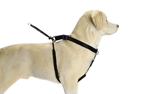 Beeztees Köpek Yürüyüş Eğitim ve Düzeltme Tasması, L
