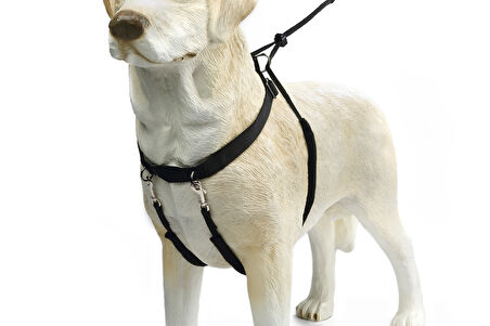 Beeztees Köpek Yürüyüş Eğitim ve Düzeltme Tasması, L