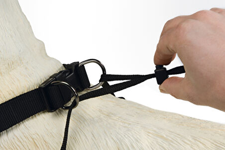 Beeztees Köpek Yürüyüş Eğitim ve Düzeltme Tasması, L