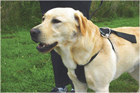 Beeztees Köpek Araç İçi Göğüs Tasması, Siyah, 75-100cm Göğüs Çapı, 25mm