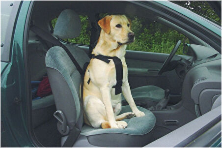 Beeztees Köpek Araç İçi Göğüs Tasması, Siyah, 75-100cm Göğüs Çapı, 25mm
