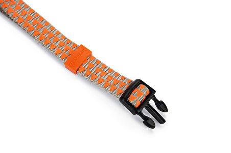 Beeztees Köpek Boyun Tasması, Açık Gri Turuncu, 26-40cm
