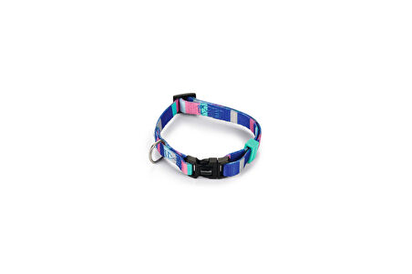 Beeztees Köpek Boyun Tasması, Renkli Kaıln Çizgiler, 20-30cm, 10mm
