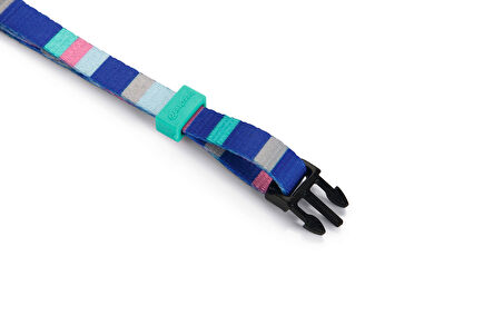 Beeztees Köpek Boyun Tasması, Renkli Kaıln Çizgiler, 20-30cm, 10mm