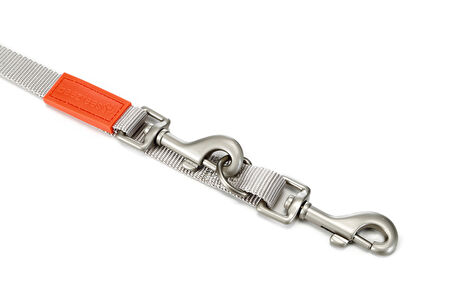 Beeztees Köpek Gezdirme Kayışı, Açık Gri, 120cm, 20mm