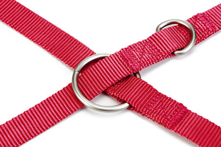 Beeztees Köpek Gezdirme Kayışı, Pembe, 200cm, 20mm