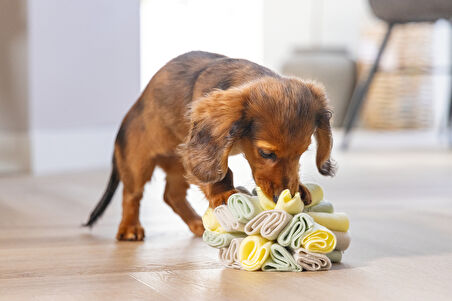 Beeztees Köpek Ödül Saklama Oyuncağı, Top, Polar, Gri/Yeşil, 13cm