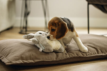 Beeztees Yavru Köpek Oyuncağı, Kalp Atışlı, Tavşan, Peluş, Gri, 25x20x7,5cm