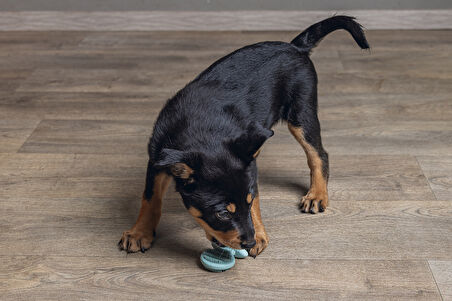 Beeztees Yavru Köpek Oyuncağı, Diş Kaşıma, Kauçuk, Yeşil, 9,5x5,5x2cm